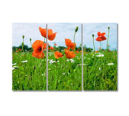 Wildflowers Canvas Print-Canvas Print-CetArt-3 Panels-36x24 inches-CetArt