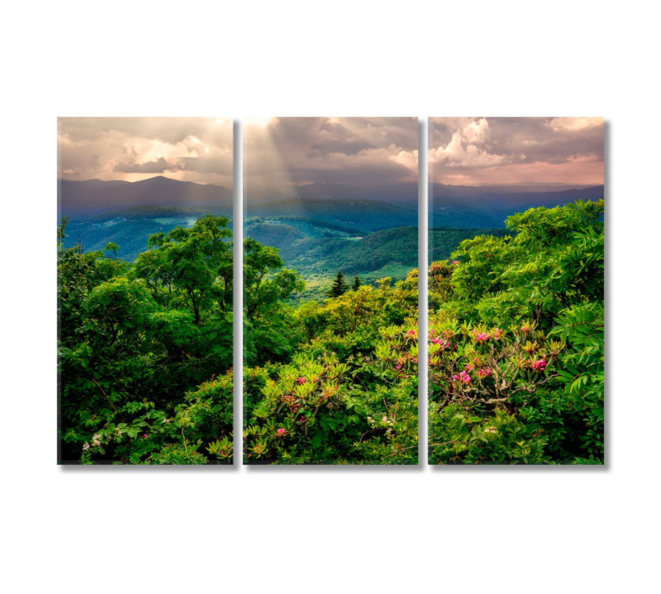 North Carolina Nature Landscape Canvas Print-Canvas Print-CetArt-3 Panels-36x24 inches-CetArt