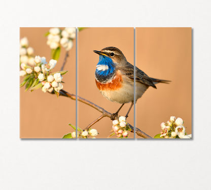 Bluethroat Bird on Cherry Blossom Branch Canvas Print-Canvas Print-CetArt-3 Panels-36x24 inches-CetArt