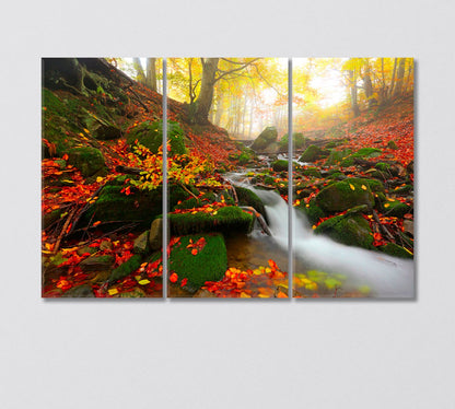 Autumn Forest Landscape with Stream Canvas Print-Canvas Print-CetArt-3 Panels-36x24 inches-CetArt