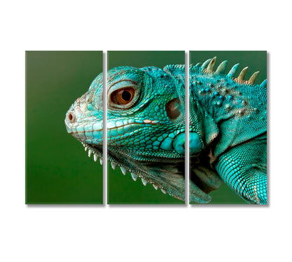 Wild Iguana Close Up Canvas Print-Canvas Print-CetArt-3 Panels-36x24 inches-CetArt