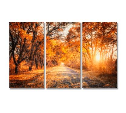 Colorful Landscape with Autumn Forest Road Canvas Print-Canvas Print-CetArt-3 Panels-36x24 inches-CetArt