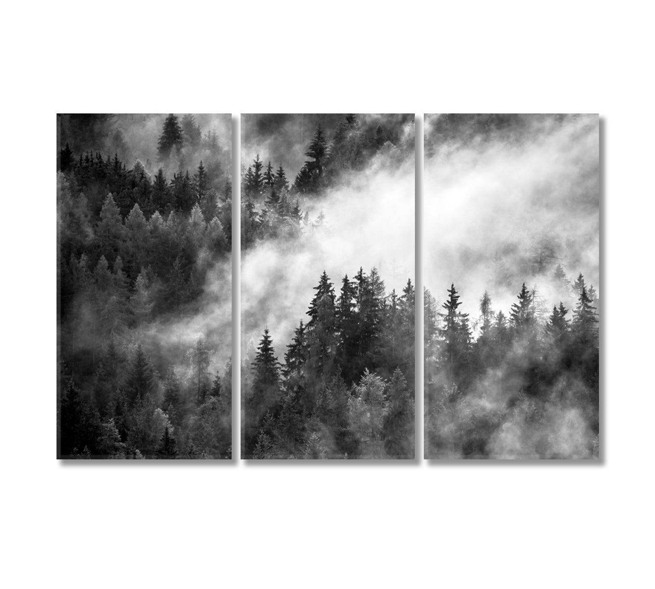 Dense Morning Fog over Spruce Forest Canvas Print-Canvas Print-CetArt-3 Panels-36x24 inches-CetArt