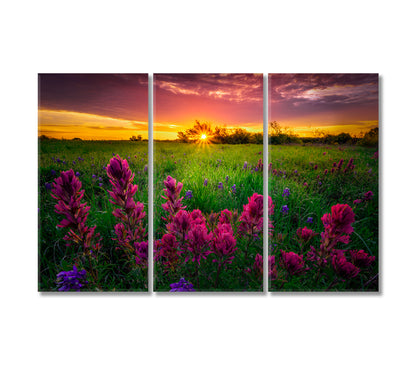 Texas Indian Paintbrush with Bluebonnets Canvas Print-Canvas Print-CetArt-3 Panels-36x24 inches-CetArt