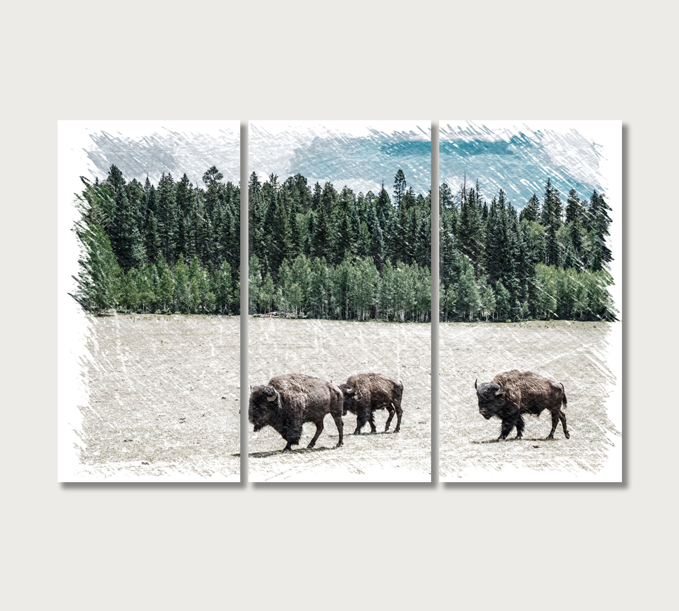 Herd of American Bison Grand Canyon National Park Arizona USA Canvas Print-Canvas Print-CetArt-3 Panels-36x24 inches-CetArt