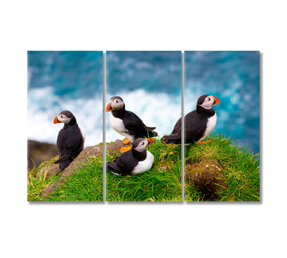 Puffins of Faroe Islands Denmark Canvas Print-Canvas Print-CetArt-3 Panels-36x24 inches-CetArt