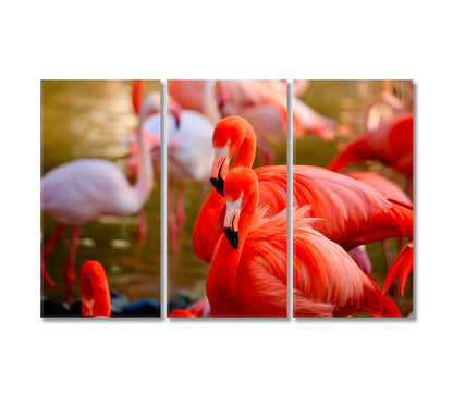 Beautiful Flamingos Canvas Print-Canvas Print-CetArt-3 Panels-36x24 inches-CetArt