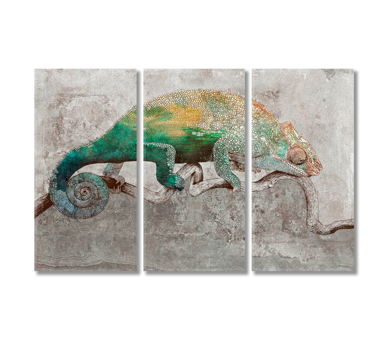 Chameleon Canvas Print-Canvas Print-CetArt-3 Panels-36x24 inches-CetArt