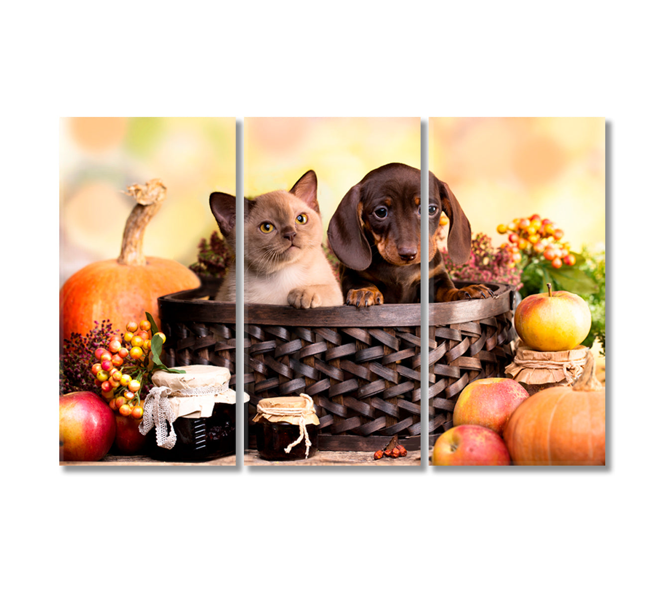 Puppy and Kitten Canvas Print-Canvas Print-CetArt-3 Panels-36x24 inches-CetArt