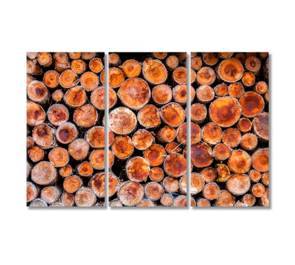 Wood Logs Canvas Print-Canvas Print-CetArt-3 Panels-36x24 inches-CetArt