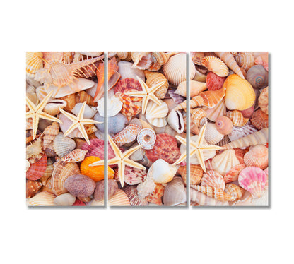 Starfish Seashells and Corals Canvas Print-Canvas Print-CetArt-3 Panels-36x24 inches-CetArt