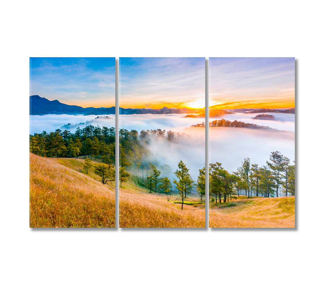 Sun Rises in Alpine Dalat Vietnam Canvas Print-Canvas Print-CetArt-3 Panels-36x24 inches-CetArt