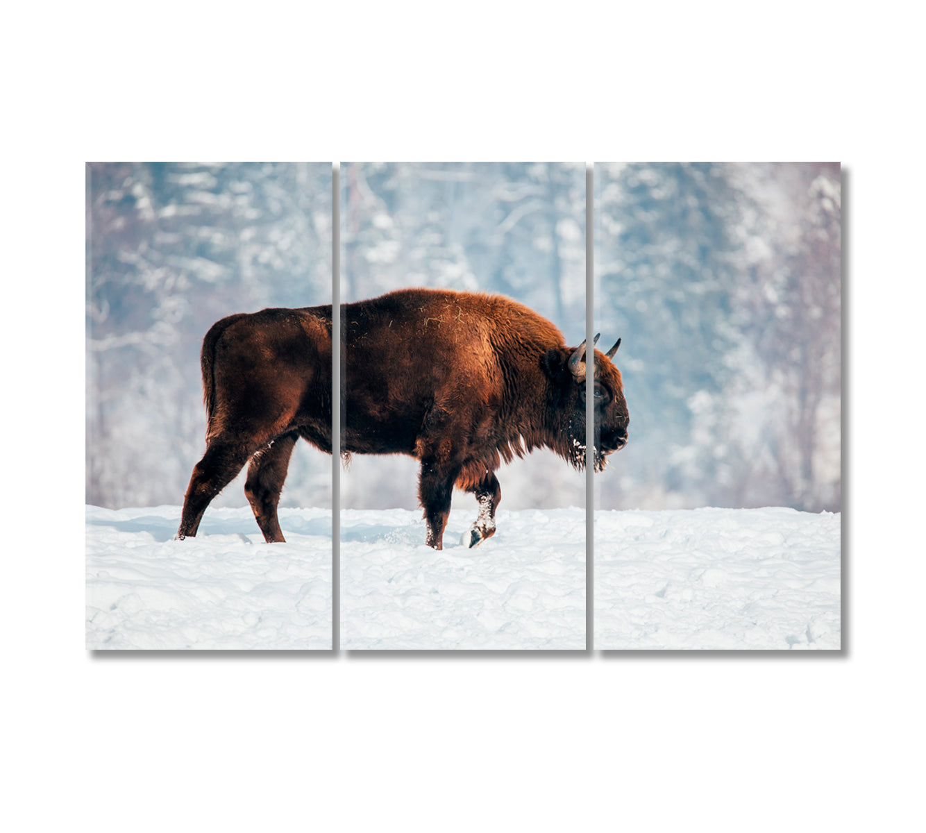 Bison in Winter Canvas Print-Canvas Print-CetArt-3 Panels-36x24 inches-CetArt