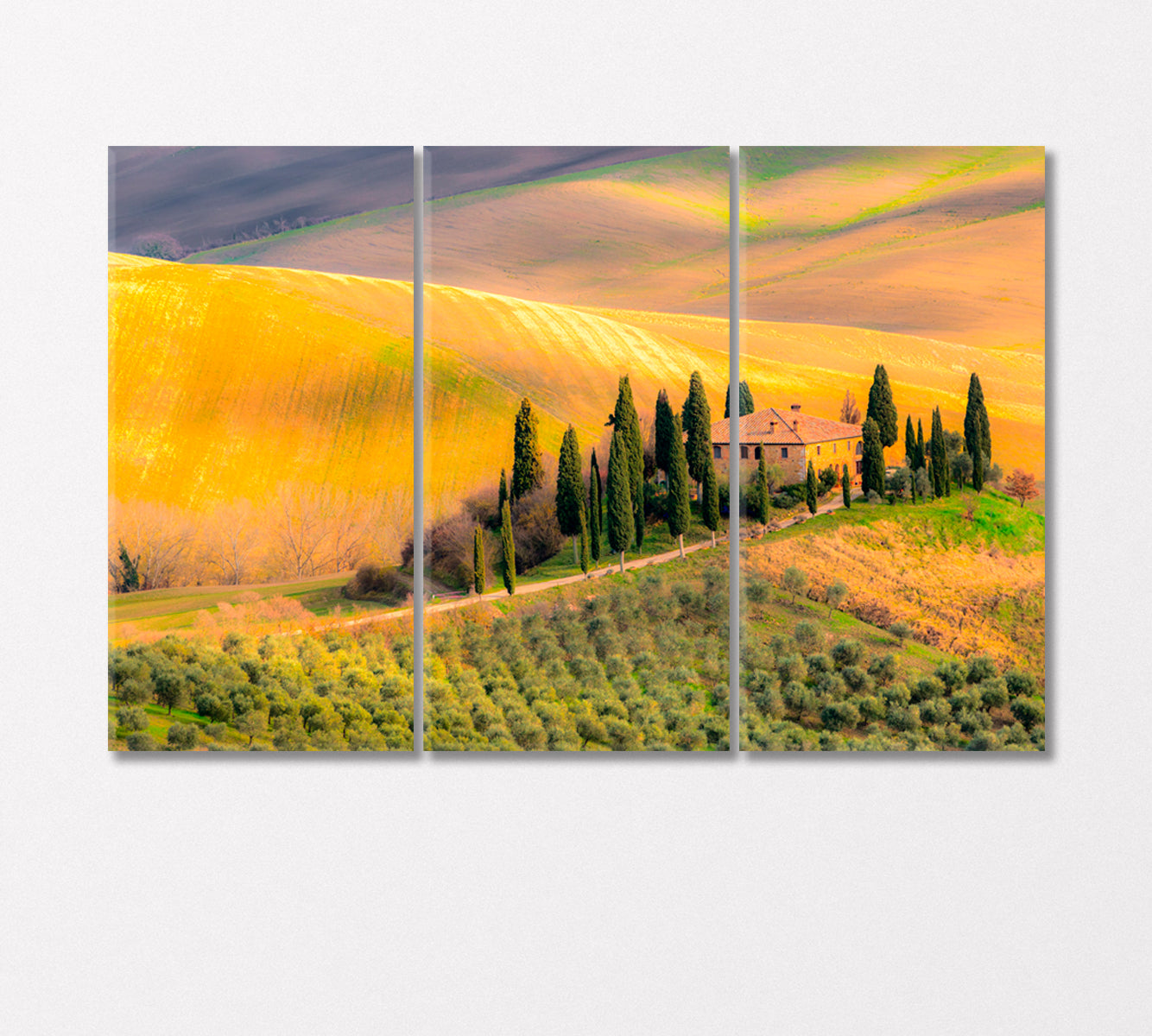 Tuscany Italy Canvas Print-Canvas Print-CetArt-3 Panels-36x24 inches-CetArt