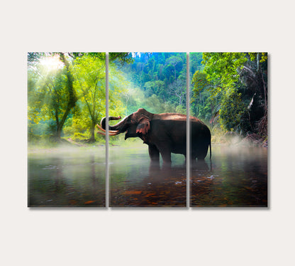 Elephant in Kanchanaburi Forest Thailand Canvas Print-Canvas Print-CetArt-3 Panels-36x24 inches-CetArt