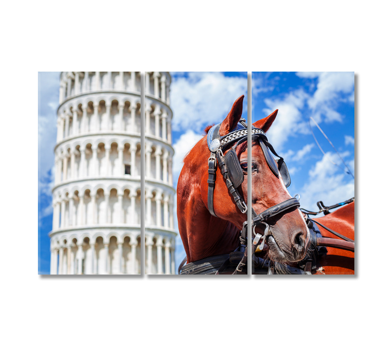 Horse and Leaning Tower of Pisa Canvas Print-Canvas Print-CetArt-3 Panels-36x24 inches-CetArt