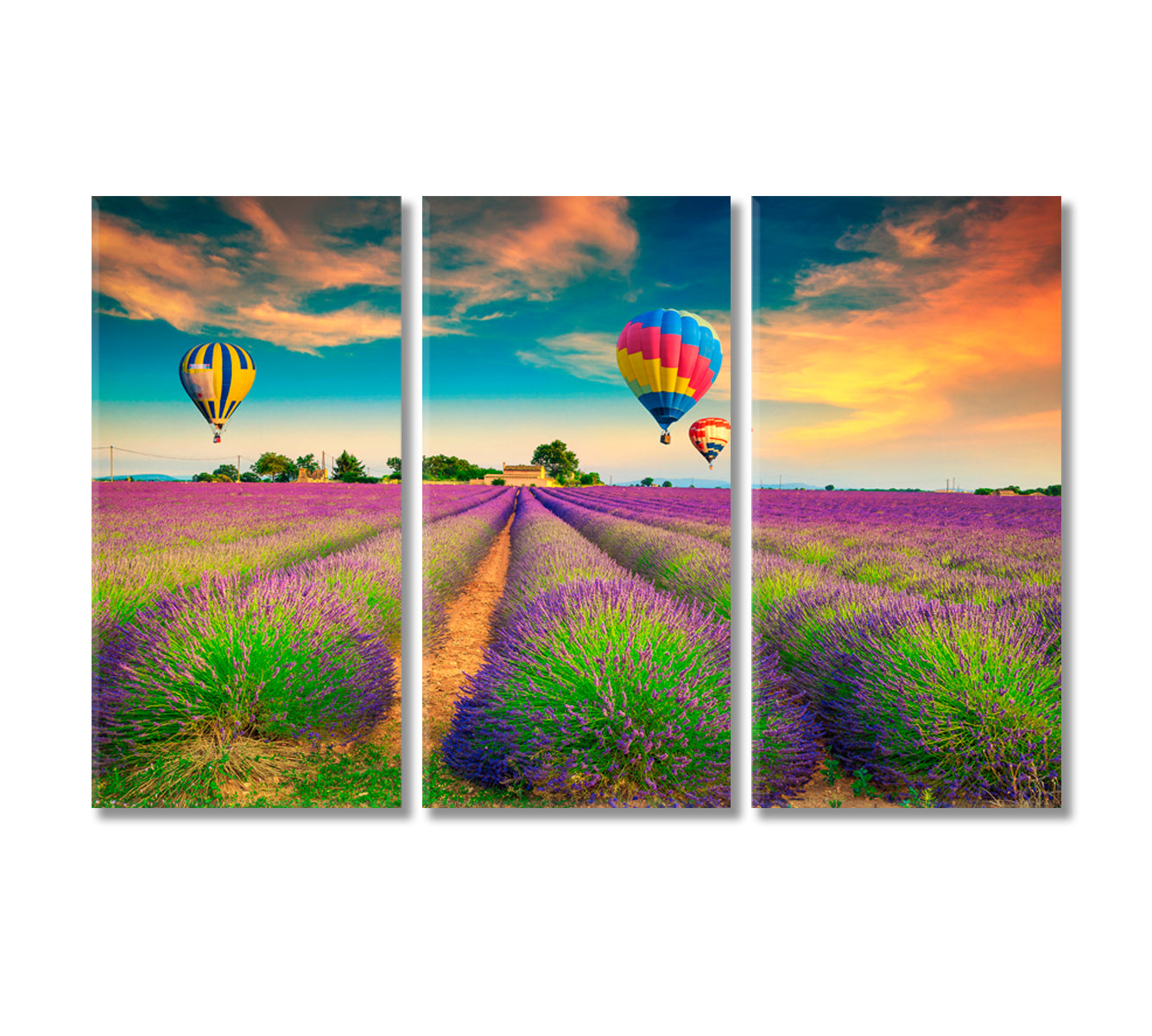 Colorful Hot Air Balloons over Lavender Fields Provence France Canvas Print-Canvas Print-CetArt-3 Panels-36x24 inches-CetArt