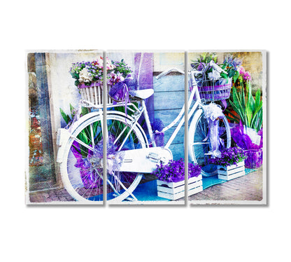 Vintage Floral Bike Canvas Print-Canvas Print-CetArt-3 Panels-36x24 inches-CetArt