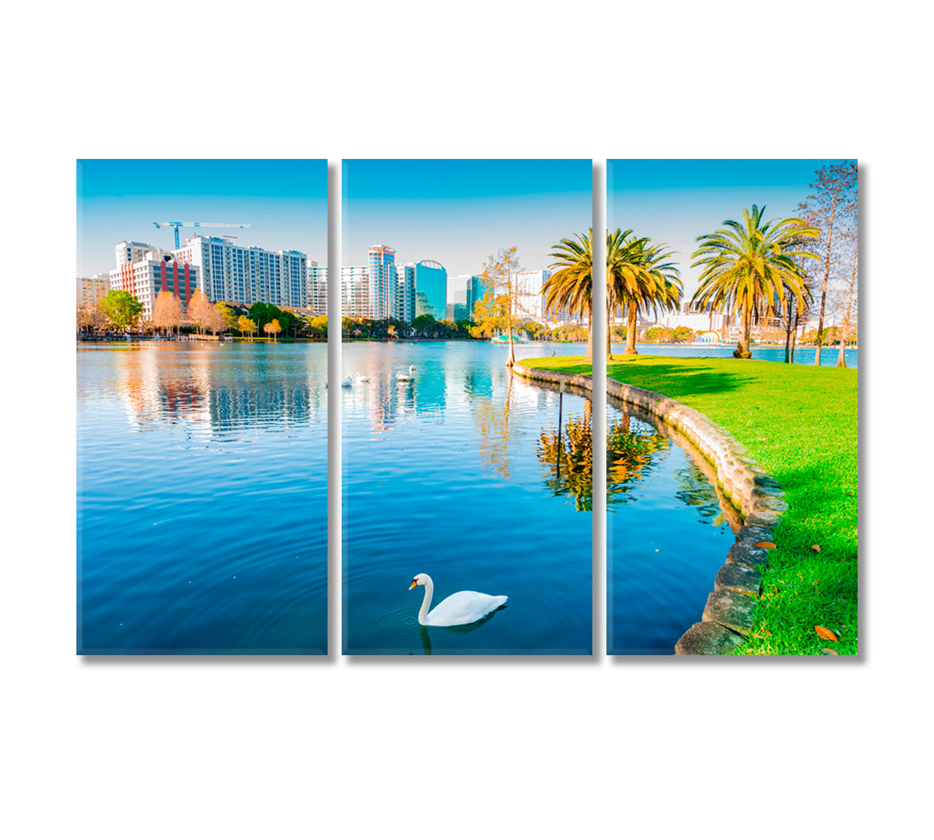 White Swans in Lake Eola Orlando USA Canvas Print-Canvas Print-CetArt-3 Panels-36x24 inches-CetArt