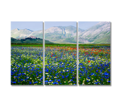 Castelluccio di Norcia Piana Grande Valley Umbria Italy Canvas Print-Canvas Print-CetArt-3 Panels-36x24 inches-CetArt