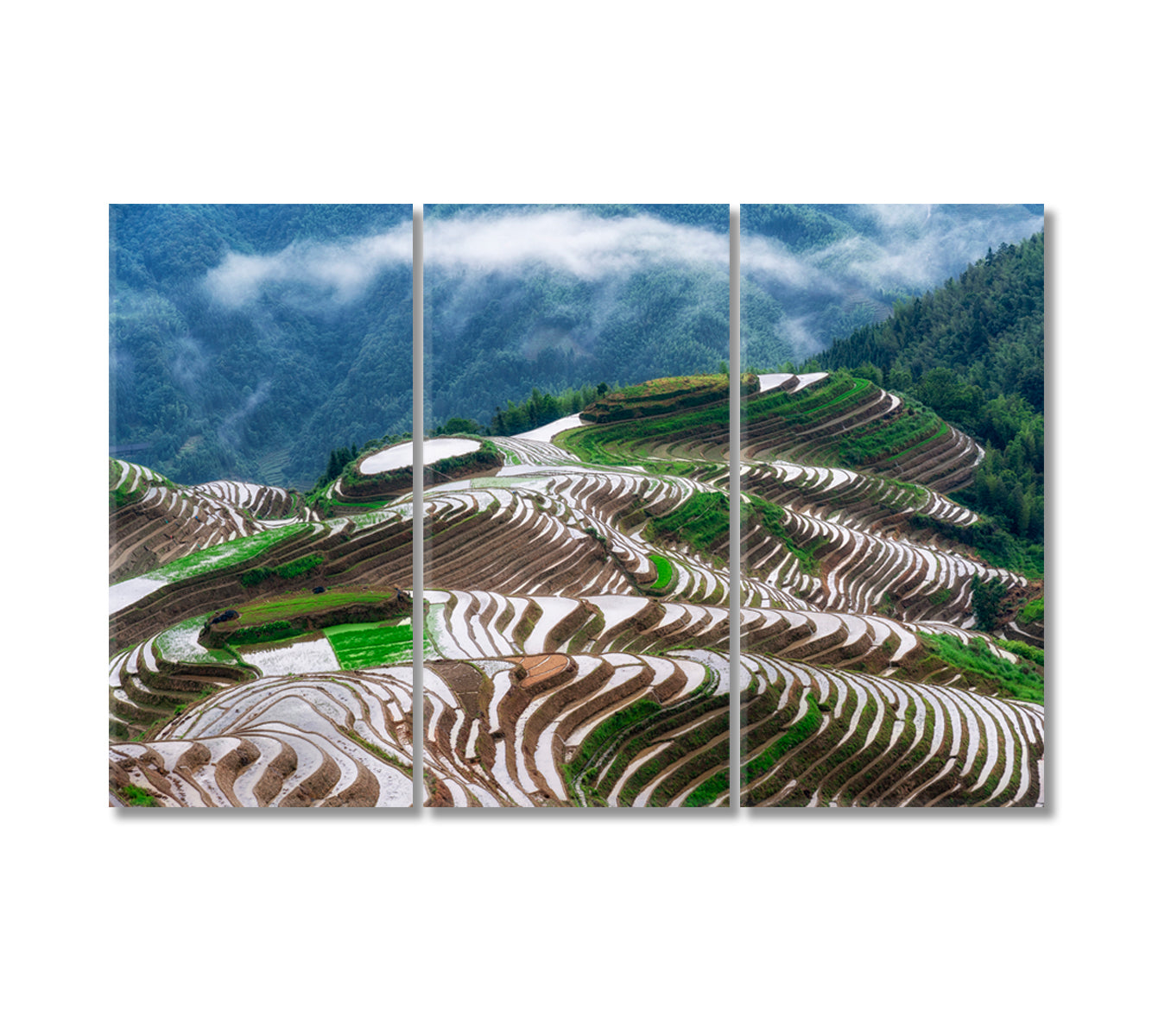 Longsheng Rice Terraces China Canvas Print-Canvas Print-CetArt-3 Panels-36x24 inches-CetArt