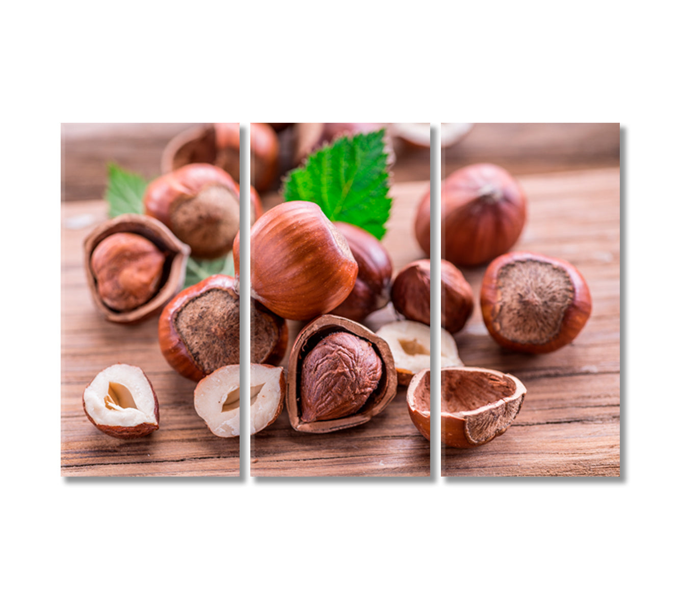 Hazelnuts Canvas Print-Canvas Print-CetArt-3 Panels-36x24 inches-CetArt