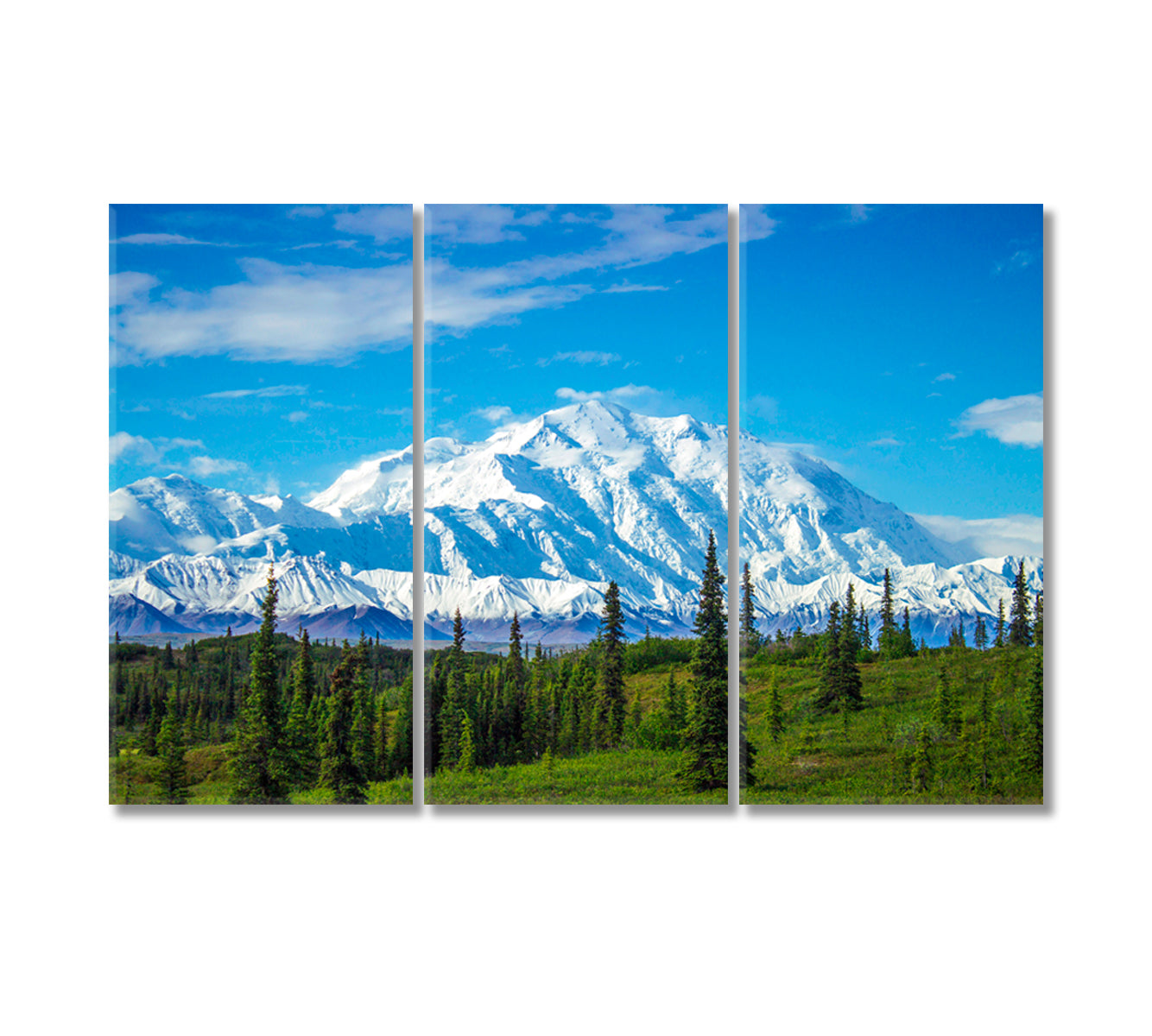 Mount Denali North America Landscape Canvas Print-Canvas Print-CetArt-3 Panels-36x24 inches-CetArt