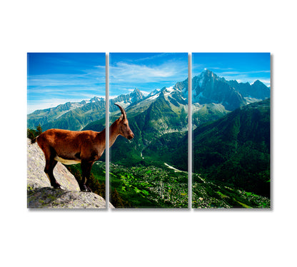 Mountain Goat Looks at Landscape Canvas Print-Canvas Print-CetArt-3 Panels-36x24 inches-CetArt