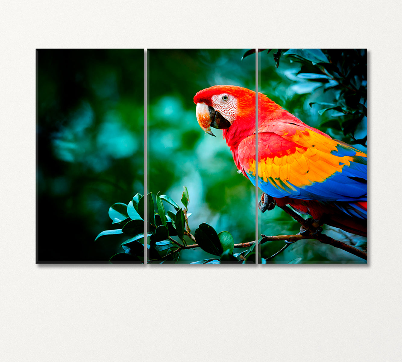 Big Colorful Parrot Macaw Canvas Print-Canvas Print-CetArt-3 Panels-36x24 inches-CetArt