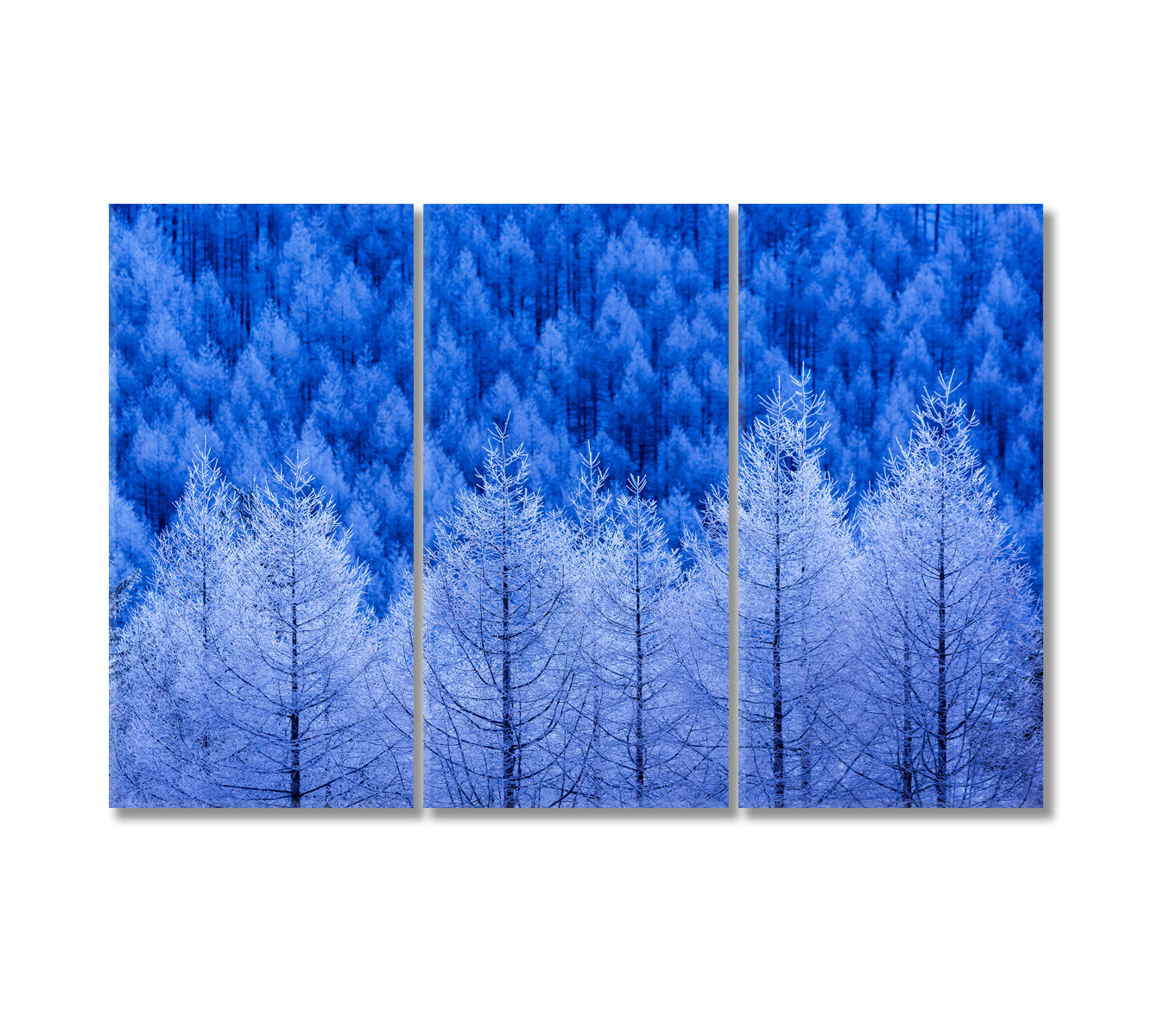 Winter Forest Canvas Print-Canvas Print-CetArt-3 Panels-36x24 inches-CetArt