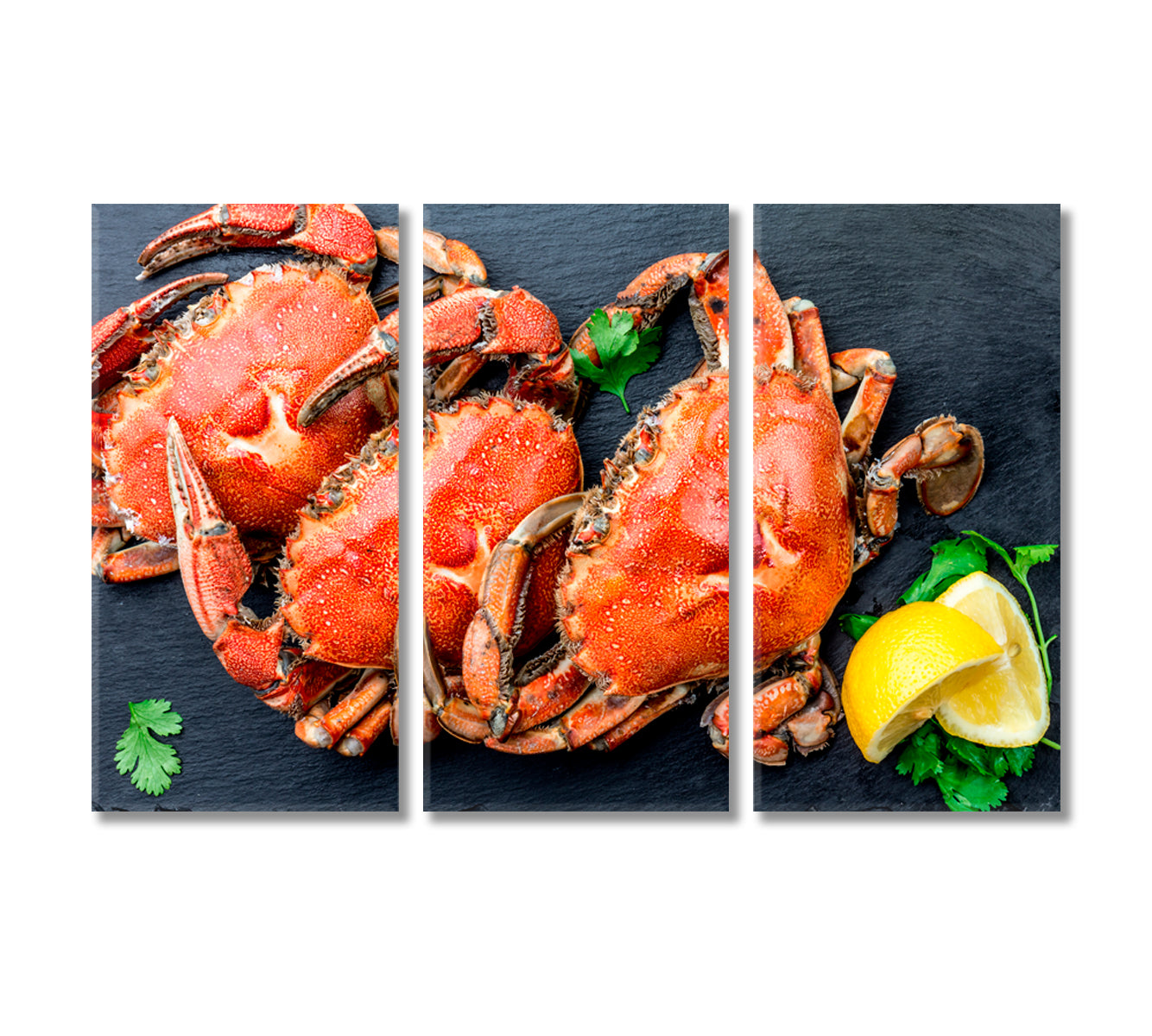 Crabs Canvas Print-Canvas Print-CetArt-3 Panels-36x24 inches-CetArt