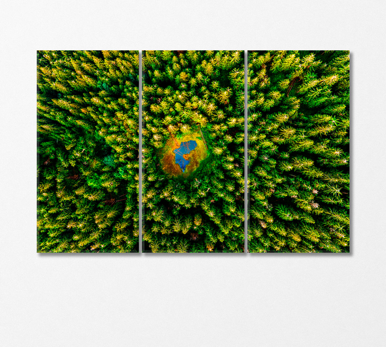 Top View of Lake in Middle of Forest Canvas Print-Canvas Print-CetArt-3 Panels-36x24 inches-CetArt