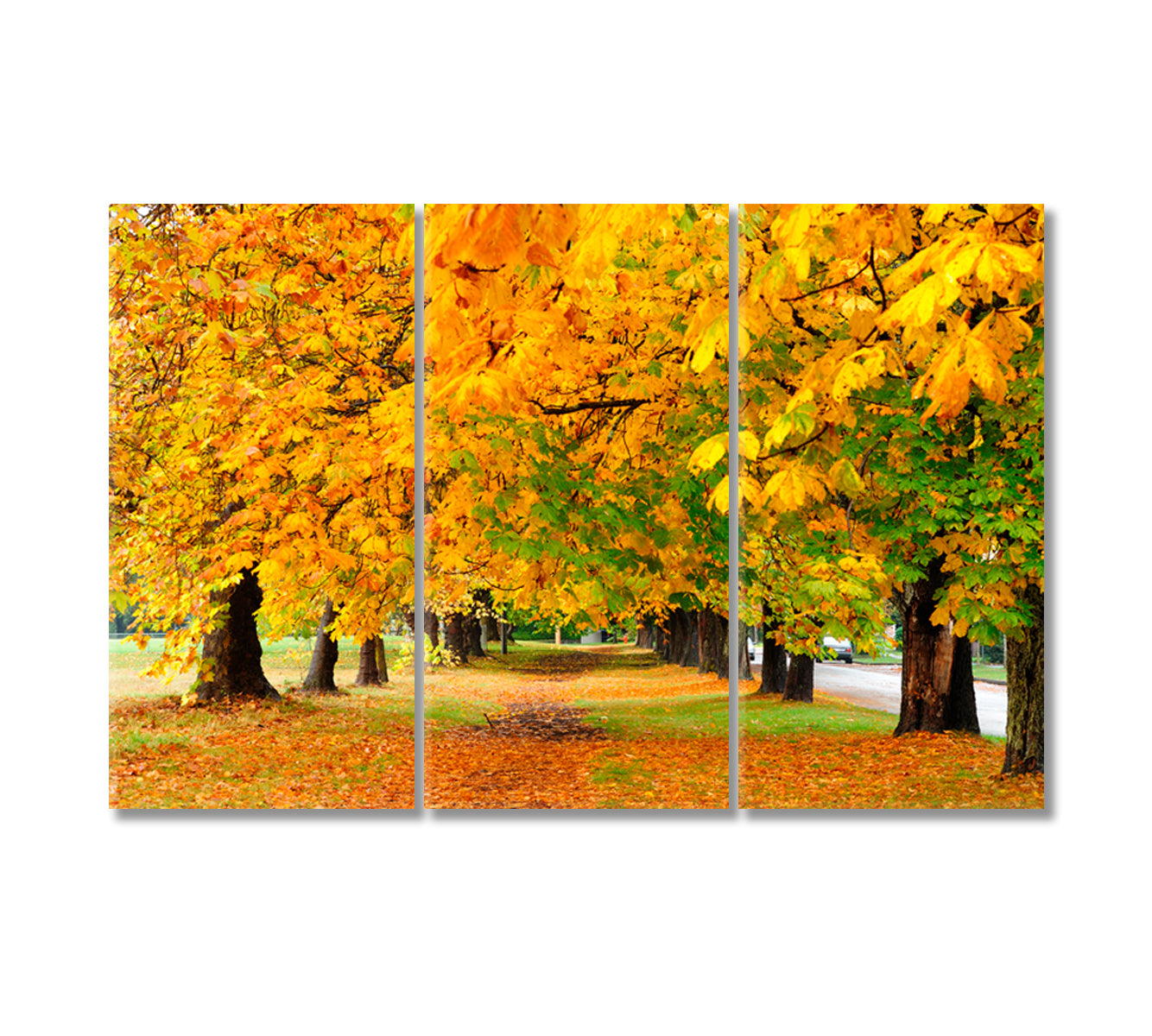 Autumn Park Canvas Print-Canvas Print-CetArt-3 Panels-36x24 inches-CetArt