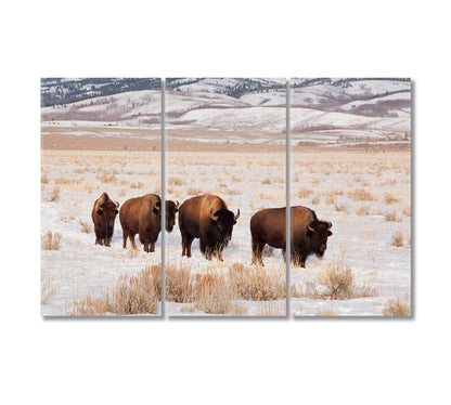 Bison Herd In Winter Canvas Print-Canvas Print-CetArt-3 Panels-36x24 inches-CetArt