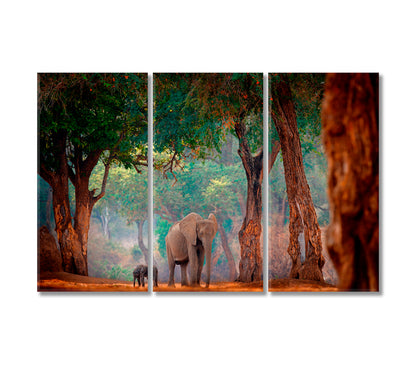 Elephant with Baby in Forest Mana Pools NP Zimbabwe Africa Canvas Print-Canvas Print-CetArt-3 Panels-36x24 inches-CetArt