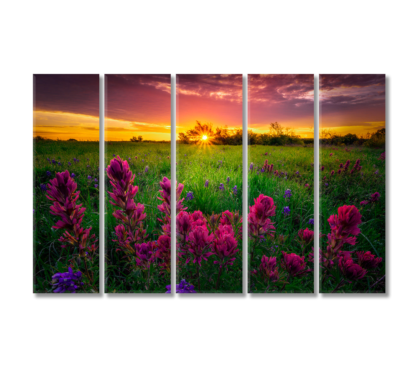 Texas Indian Paintbrush with Bluebonnets Canvas Print-Canvas Print-CetArt-5 Panels-36x24 inches-CetArt