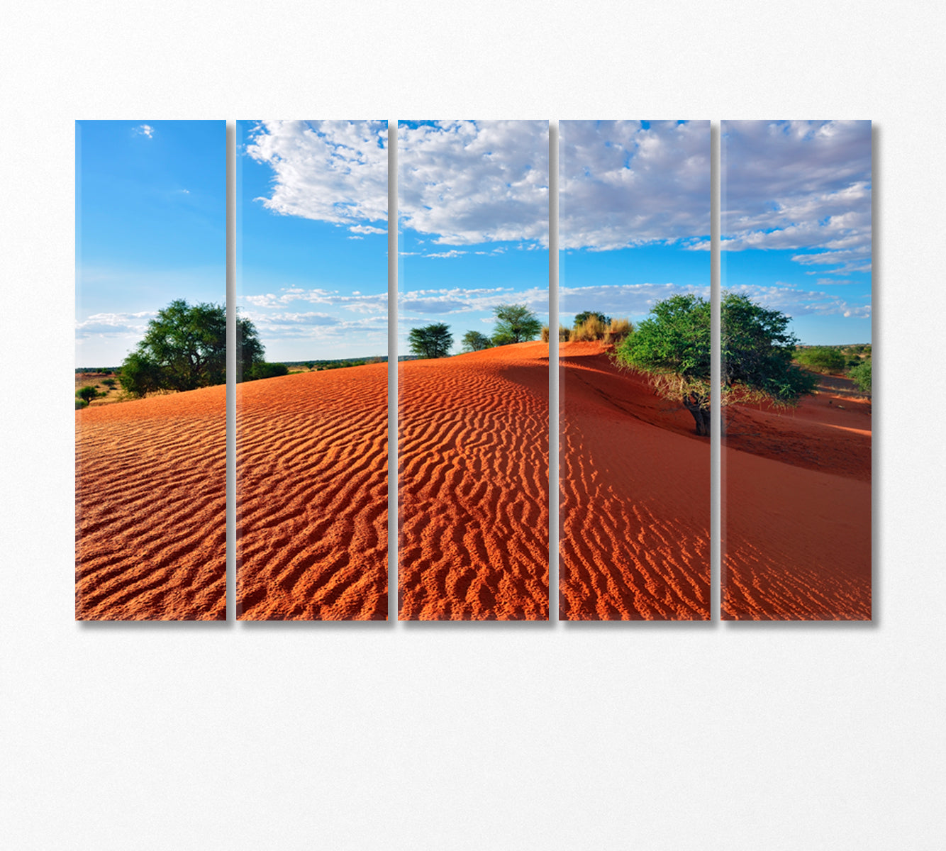 Big Red Dune with Sand Waves Canvas Print-Canvas Print-CetArt-5 Panels-36x24 inches-CetArt