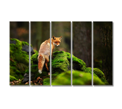 Fox Canvas Print-Canvas Print-CetArt-5 Panels-36x24 inches-CetArt