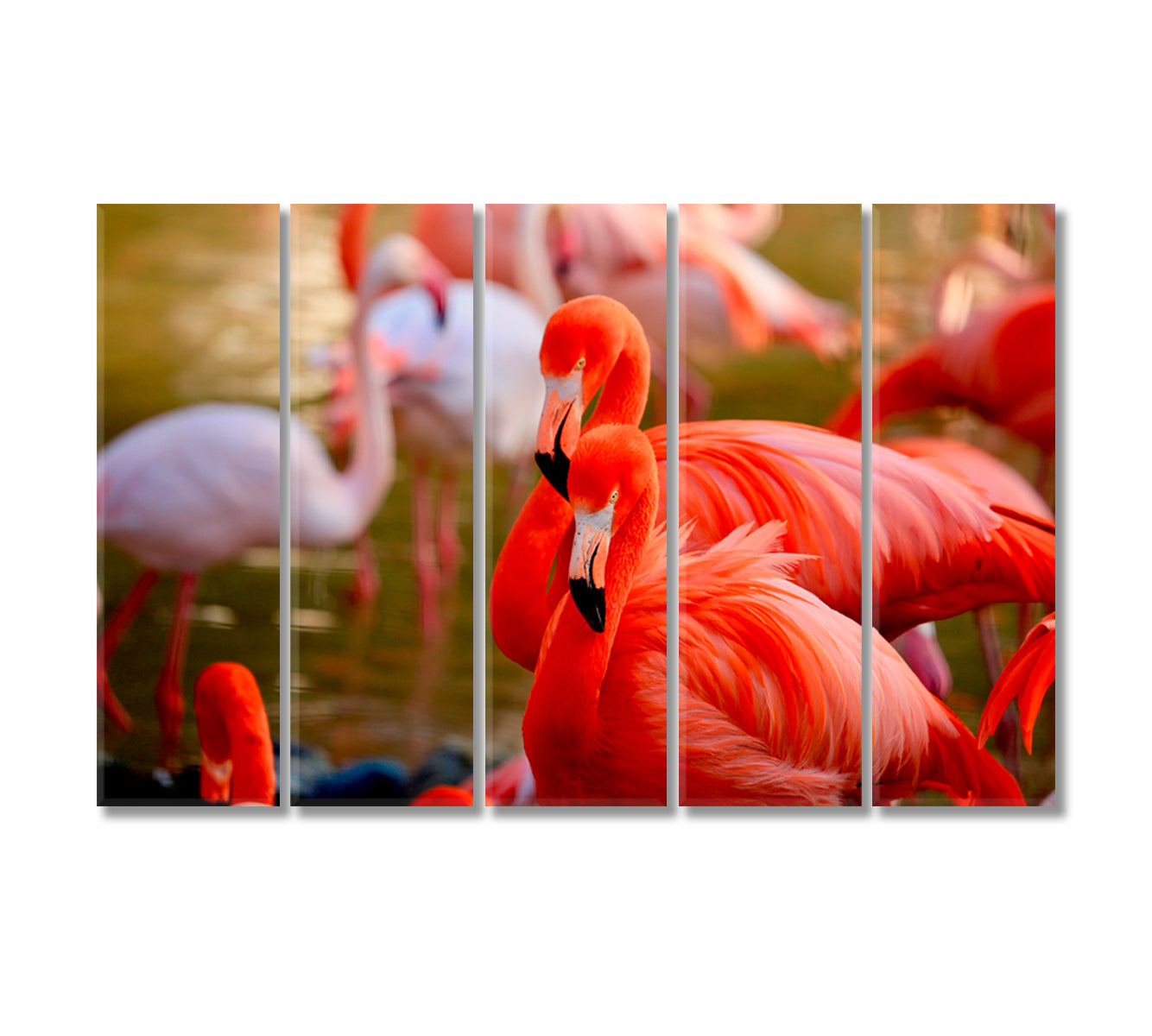 Beautiful Flamingos Canvas Print-Canvas Print-CetArt-5 Panels-36x24 inches-CetArt