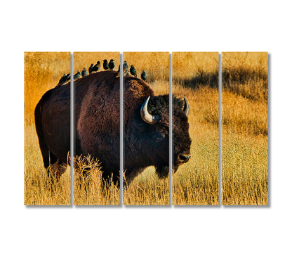 American Bison with Starlings on Back Canvas Print-Canvas Print-CetArt-5 Panels-36x24 inches-CetArt