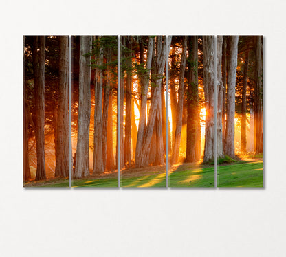 Sunset Sun Rays Breaking Through Trees Canvas Print-Canvas Print-CetArt-5 Panels-36x24 inches-CetArt