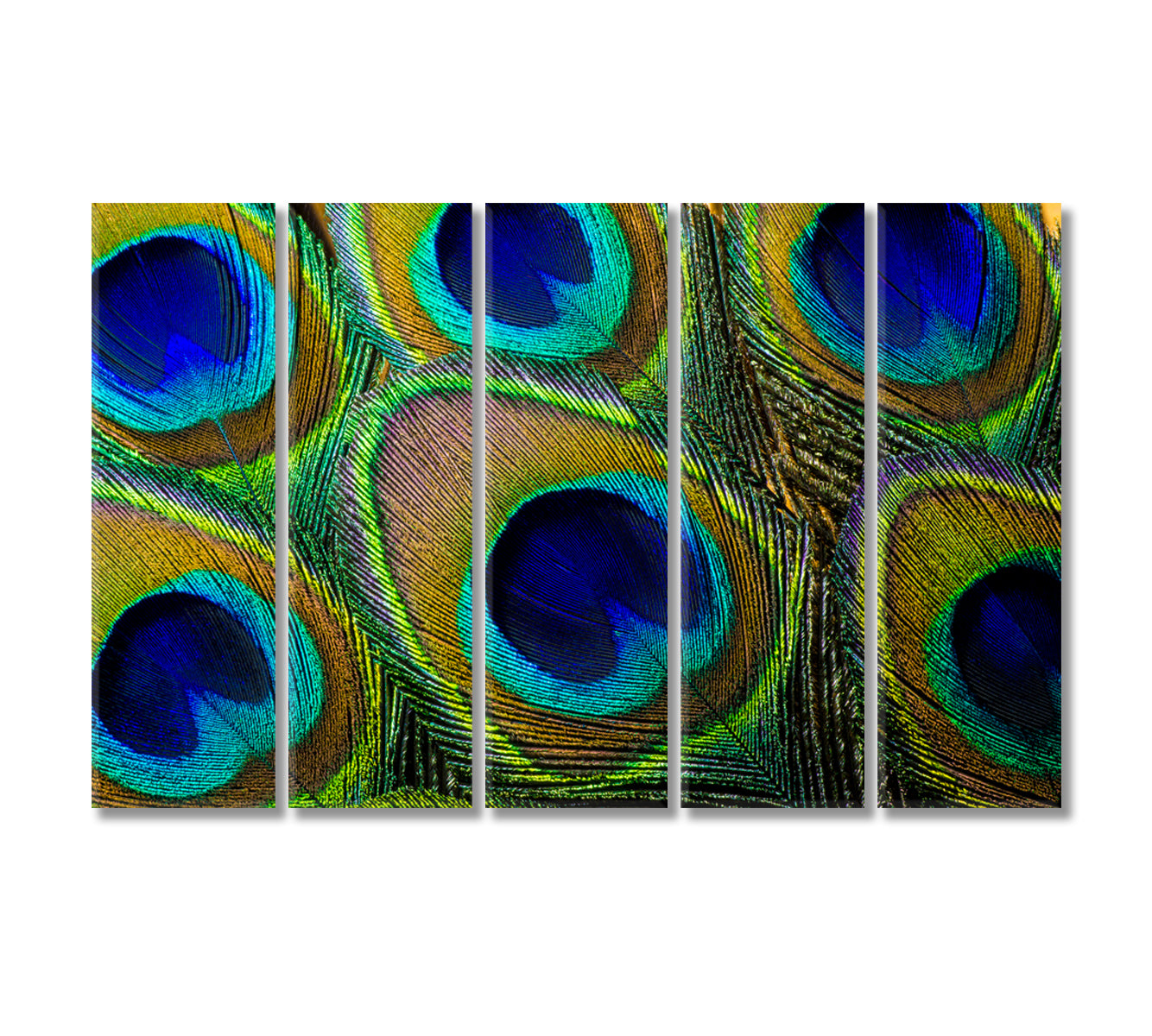 Colorful Peacock Feathers Canvas Print-Canvas Print-CetArt-5 Panels-36x24 inches-CetArt