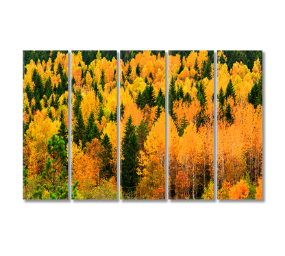 Autumn Forest with Yellow and Green Trees Canvas Print-Canvas Print-CetArt-5 Panels-36x24 inches-CetArt