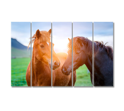 Icelandic Horses Canvas Print-Canvas Print-CetArt-5 Panels-36x24 inches-CetArt