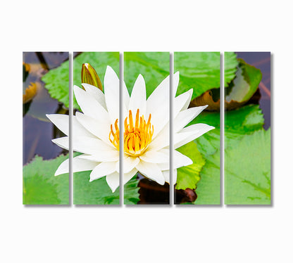 White Lotus Flower Canvas Print-Canvas Print-CetArt-5 Panels-36x24 inches-CetArt