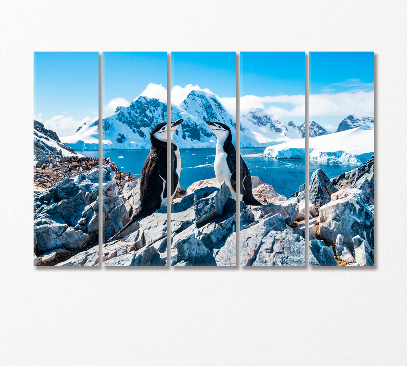 Pair of Chinstrap Penguins Canvas Print-Canvas Print-CetArt-5 Panels-36x24 inches-CetArt