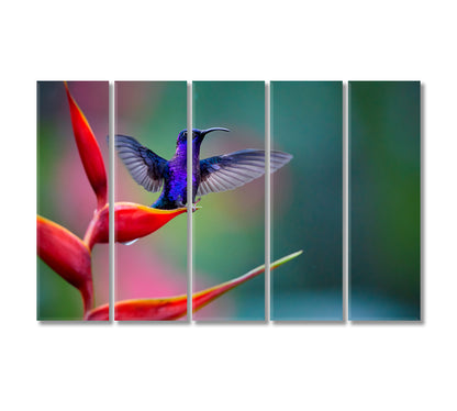 Hummingbird on Red Heliconia Flower Costa Rica Canvas Print-Canvas Print-CetArt-5 Panels-36x24 inches-CetArt