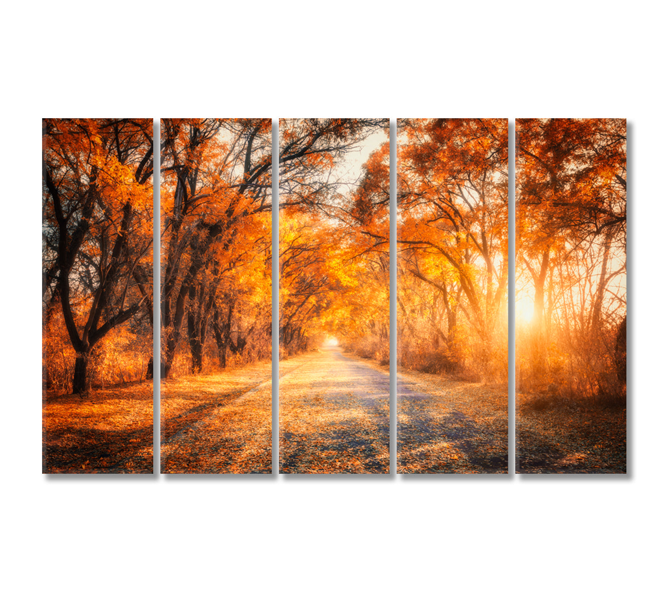 Colorful Landscape with Autumn Forest Road Canvas Print-Canvas Print-CetArt-5 Panels-36x24 inches-CetArt