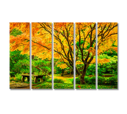 Japanese Maple Tree Washington Park Arboretum Botanical Garden Canvas Print-Canvas Print-CetArt-5 Panels-36x24 inches-CetArt