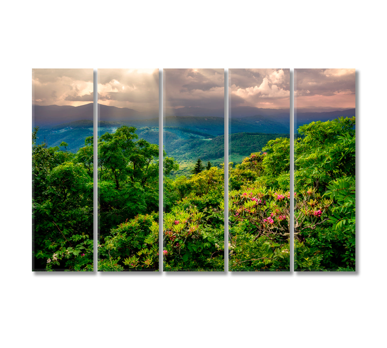 North Carolina Nature Landscape Canvas Print-Canvas Print-CetArt-5 Panels-36x24 inches-CetArt